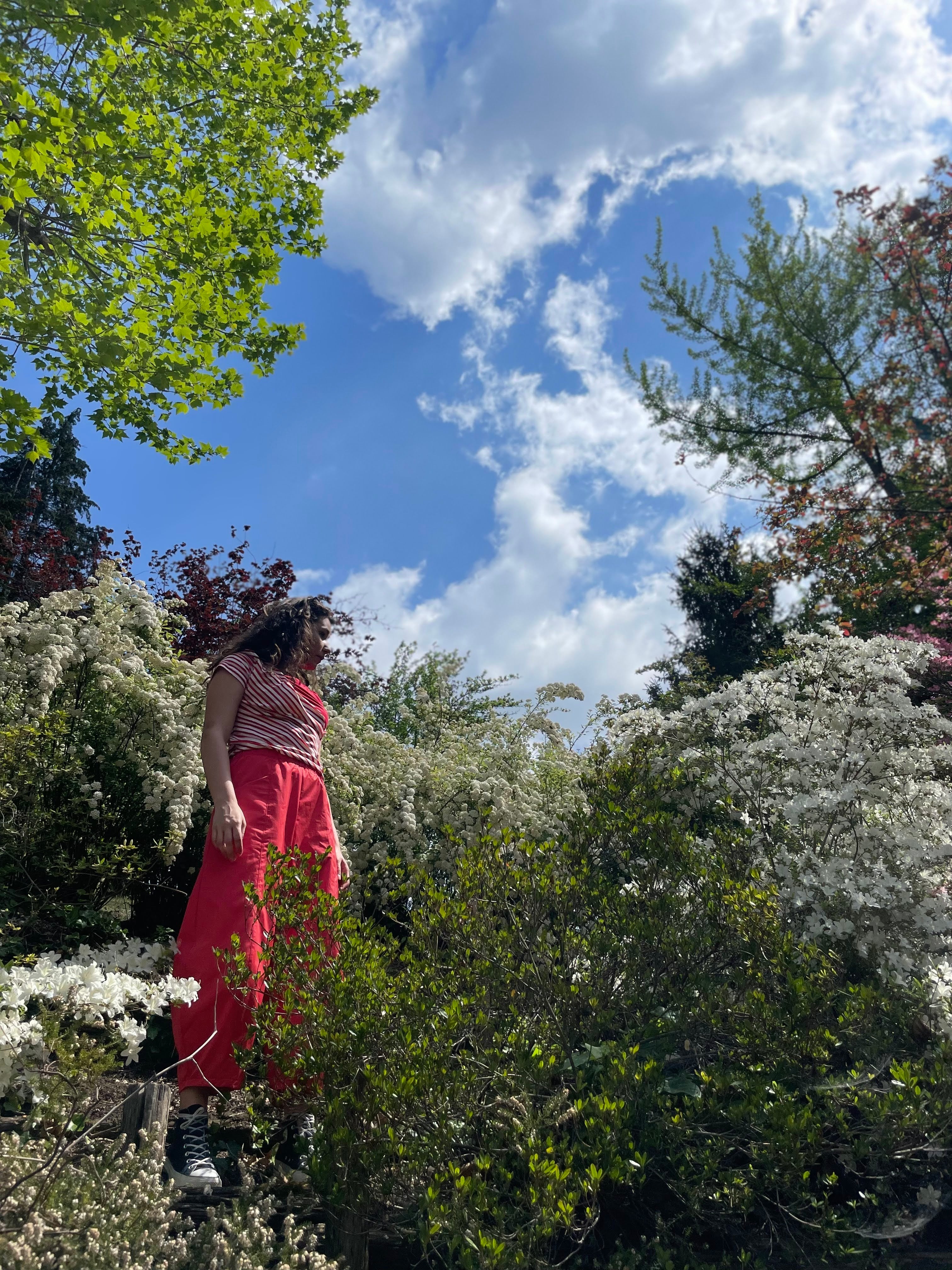 La bellezza della natura